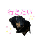 我が家のまめちゃん③（個別スタンプ：16）