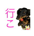 我が家のまめちゃん③（個別スタンプ：17）