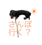 我が家のまめちゃん③（個別スタンプ：20）