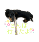我が家のまめちゃん③（個別スタンプ：22）