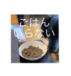 我が家のまめちゃん③（個別スタンプ：39）