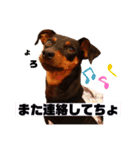 カーメロすたんぷ〜PART4〜（個別スタンプ：11）