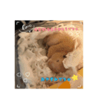 kuma♡ハムの日常（個別スタンプ：2）