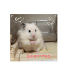 kuma♡ハムの日常（個別スタンプ：5）