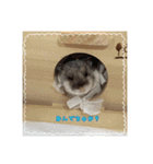 kuma♡ハムの日常（個別スタンプ：6）