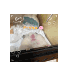 kuma♡ハムの日常（個別スタンプ：7）