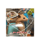 kuma♡ハムの日常（個別スタンプ：18）