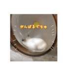 kuma♡ハムの日常（個別スタンプ：19）
