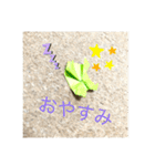 カエルの折り紙スタンプ（個別スタンプ：7）