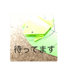 カエルの折り紙スタンプ（個別スタンプ：35）