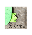 カエルの折り紙スタンプ（個別スタンプ：37）