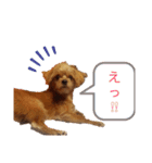 ロコすたんぷ2（個別スタンプ：1）