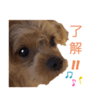 ロコすたんぷ2（個別スタンプ：4）