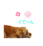 ロコすたんぷ2（個別スタンプ：11）