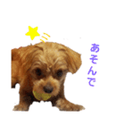 ロコすたんぷ2（個別スタンプ：12）