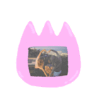 ゆみんごフラミンゴ（個別スタンプ：6）