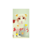 猫なで（個別スタンプ：4）