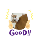 猫なで（個別スタンプ：8）