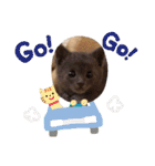 ねこちゃんずの日常会話（個別スタンプ：24）