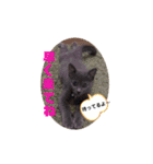 ねこちゃんずの日常会話（個別スタンプ：25）