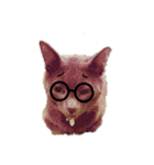 ねこちゃんずの日常会話（個別スタンプ：31）