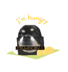愛犬いちごさん（個別スタンプ：8）