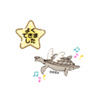 海のいきものたち。（個別スタンプ：8）