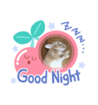 マロン＆うに＆はる（個別スタンプ：3）