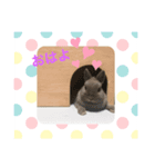 マロン＆うに＆はる（個別スタンプ：5）