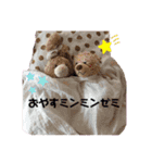 カモノパチと仲間達いとをかし（個別スタンプ：4）