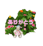 カモノパチと仲間達いとをかし（個別スタンプ：6）