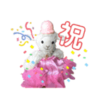 カモノパチと仲間達いとをかし（個別スタンプ：21）