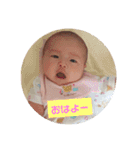 ぴよりまごちゃんno.1（個別スタンプ：5）