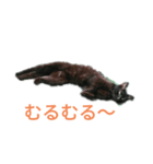 黒猫ケンちゃん（個別スタンプ：3）