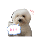 めぐるなスタンプ第一弾！（個別スタンプ：1）