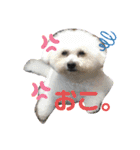 めぐるなスタンプ第一弾！（個別スタンプ：8）