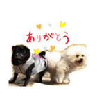 めぐるなスタンプ第一弾！（個別スタンプ：10）