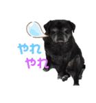 めぐるなスタンプ第一弾！（個別スタンプ：14）