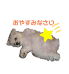めぐるなスタンプ第一弾！（個別スタンプ：21）