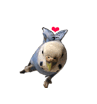 セキセイインコのつくね様（個別スタンプ：4）