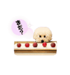 シュシュ・ときどき・まーぴー（個別スタンプ：30）