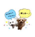 ちわぷー＆ビション兄弟②（個別スタンプ：23）