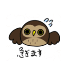 わたしのフクロウたち（個別スタンプ：5）
