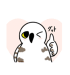 わたしのフクロウたち（個別スタンプ：8）