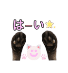 みみ♡ちょこ①（個別スタンプ：5）