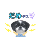 みみ♡ちょこ①（個別スタンプ：11）