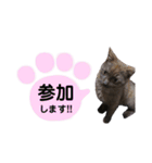 みみ♡ちょこ①（個別スタンプ：15）
