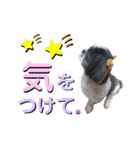 みみ♡ちょこ①（個別スタンプ：18）