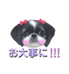 みみ♡ちょこ①（個別スタンプ：19）
