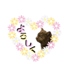 みみ♡ちょこ①（個別スタンプ：21）